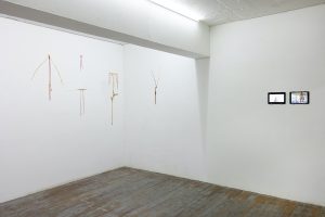 로버트 가브리스 Robert Gabris 〈Insectology in my body〉, Objects, dimensions variable