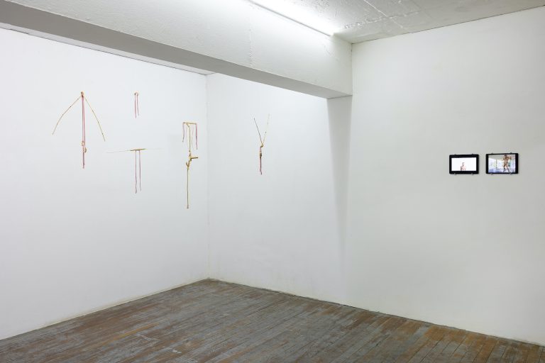 로버트 가브리스 Robert Gabris 〈Insectology in my body〉, Objects, dimensions variable