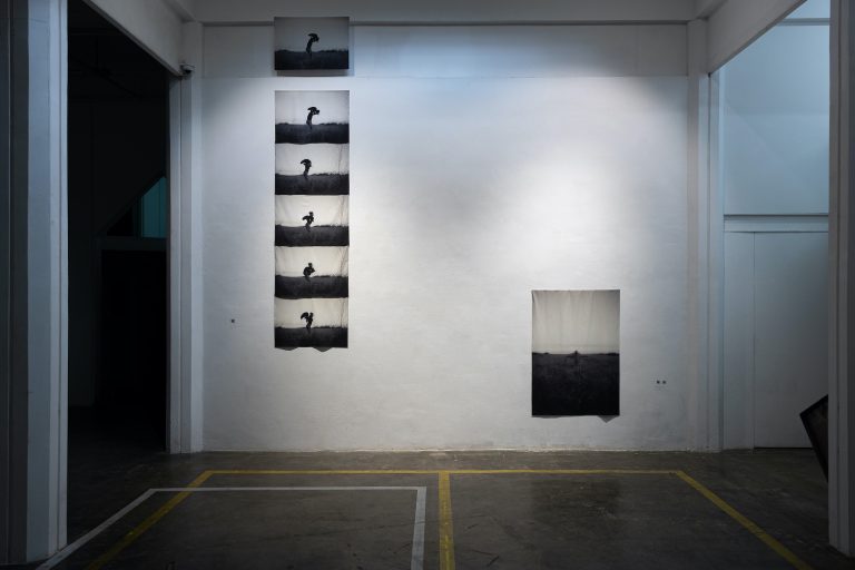 흑표범 Balck Jaguar 〈Becoming birds〉, 가변크기, 몇천에 출력, 흑표범과 홍이현숙 두 작가가 서로의 퍼포먼스, 2022