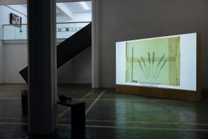 아사 손야스도터 Åsa Sonjasdotter 〈이야기 재배하기(Cultivated Abundance)〉, Video, 60:00, 2019