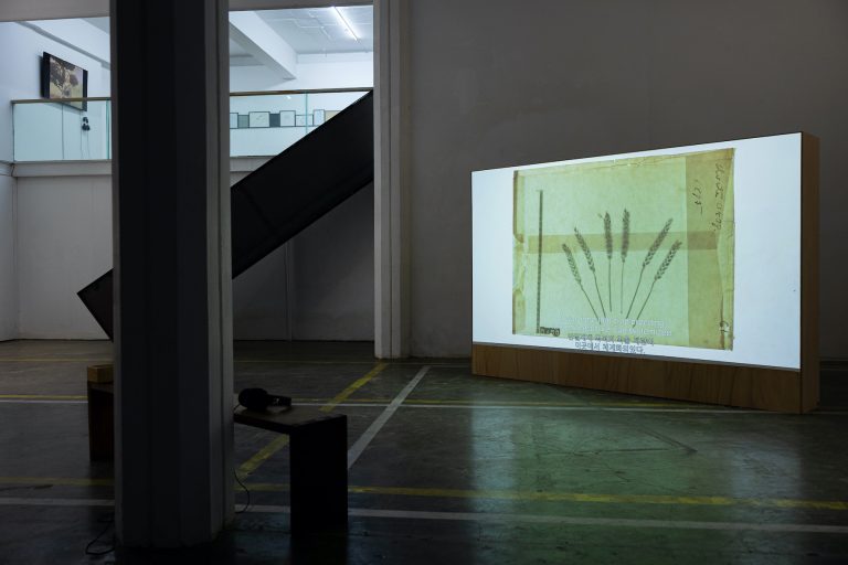 아사 손야스도터 Åsa Sonjasdotter 〈이야기 재배하기(Cultivated Abundance)〉, Video, 60:00, 2019